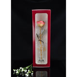 24K Gold Tipped White and Pink Rose with Crystal Vase-Gold Trimmed Rose-The Rose Lady-Top Notch Gift Shop