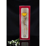 24K Gold Tipped Yellow Rose with Crystal Vase-Gold Trimmed Rose-The Rose Lady-Top Notch Gift Shop