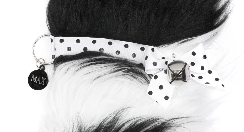 Border Collie Dog Christmas Stocking-Holiday Stocking-Hearth Hounds-Top Notch Gift Shop