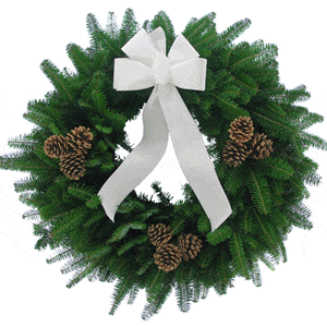 Balsam Fir 24" Wreath with White Bow and Cones-Rockdale Wreaths-Top Notch Gift Shop