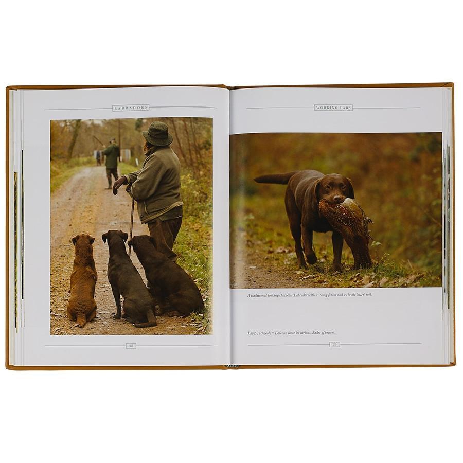 Labradors Work, Rest and Play - Leather Bound Collector's Edition-Book-Graphic Image, Inc.-Top Notch Gift Shop