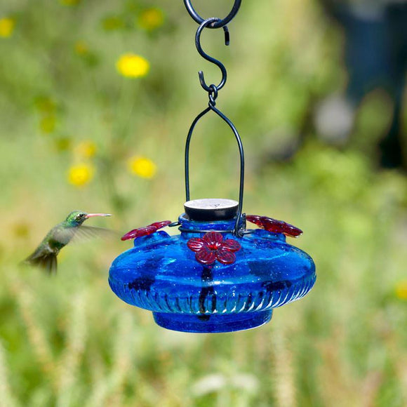 Parasol Gardens Blue Bloom Glass Hummingbird Feeder-Bird Feeder-Parasol Gardens-Top Notch Gift Shop