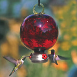 Ruby Red Dewdrop Glass Hummingbird Feeder-Bird Feeder-Parasol Gardens-Top Notch Gift Shop