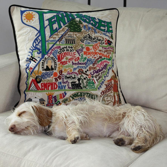 CatStudio Embroidered State Pillows