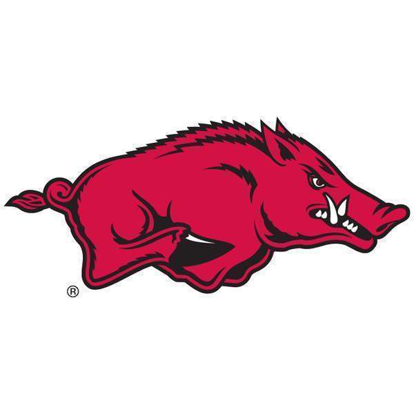 Arkansas Razorbacks