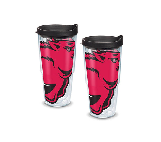 University of Arkansas Colossal 24 oz. Tervis Tumbler with Lid - (Set of 2)-Tumbler-Tervis-Top Notch Gift Shop