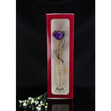 24K Gold Trimmed Lilac Rose with Crystal Vase-Gold Trimmed Rose-The Rose Lady-Top Notch Gift Shop