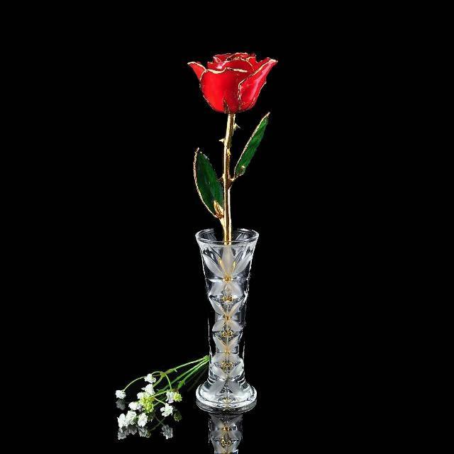 24K Gold Tipped Red Rose with Crystal Vase – livesearch