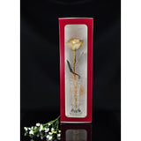 24K Gold Tipped White Rose with Crystal Vase-Gold Trimmed Rose-The Rose Lady-Top Notch Gift Shop
