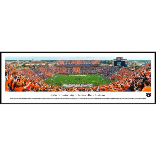 Auburn Football - "Stripe the Stadium" Panorama Framed Print-Print-Blakeway Worldwide Panoramas, Inc.-Top Notch Gift Shop