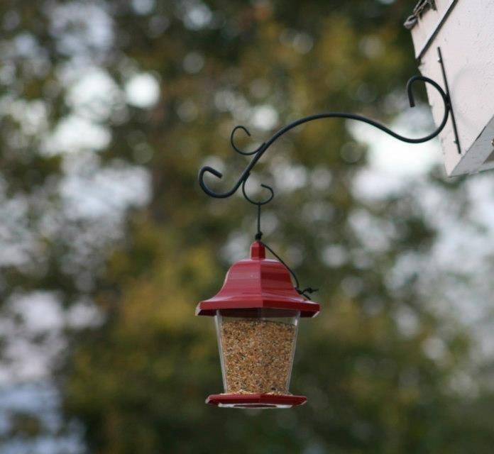 Hand Painted Mini-Blossom Green Glass Hummingbird Feeder-Bird Feeder-Parasol Gardens-Top Notch Gift Shop