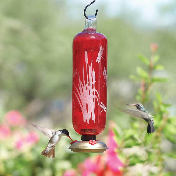 Dragonfly Filigree Glass Hummingbird Feeder - Flame Red-Bird Feeder-Parasol Gardens-Top Notch Gift Shop
