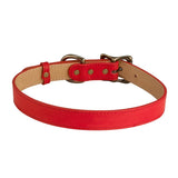 Italian Leather "Large" Dog Collar - Personalized-Dog Collar-Graphic Image, Inc.-Top Notch Gift Shop