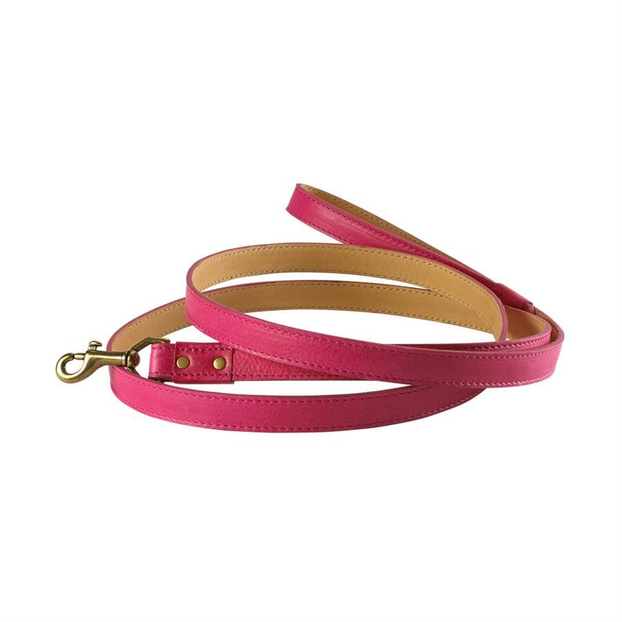 6 ft. Italian Leather Dog Leash-Dog Leash-Graphic Image, Inc.-Top Notch Gift Shop