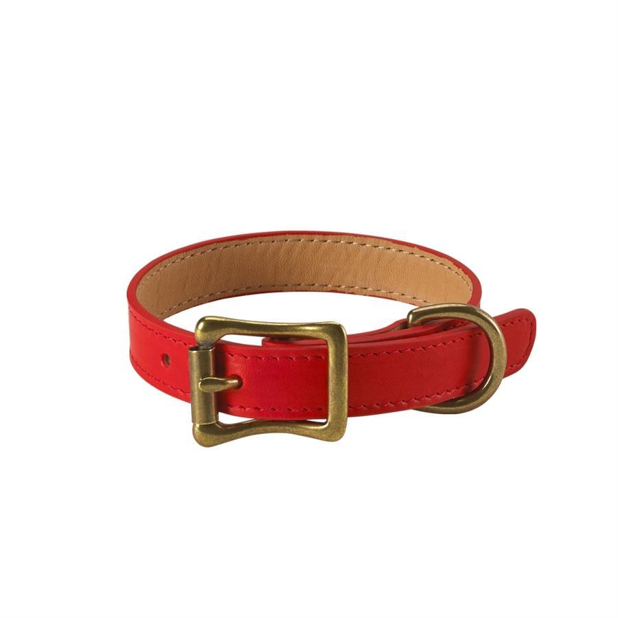 Italian Leather "Petite" Dog Collar - Personalized-Dog Collar-Graphic Image, Inc.-Top Notch Gift Shop