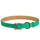 Italian Leather "X-Large" Dog Collar - Personalized-Dog Collar-Graphic Image, Inc.-Top Notch Gift Shop