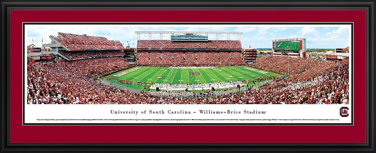 South Carolina Football - "50 Yard Line" Panorama Framed Print-Print-Blakeway Worldwide Panoramas, Inc.-Top Notch Gift Shop