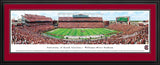 South Carolina Football - "50 Yard Line" Panorama Framed Print-Print-Blakeway Worldwide Panoramas, Inc.-Top Notch Gift Shop