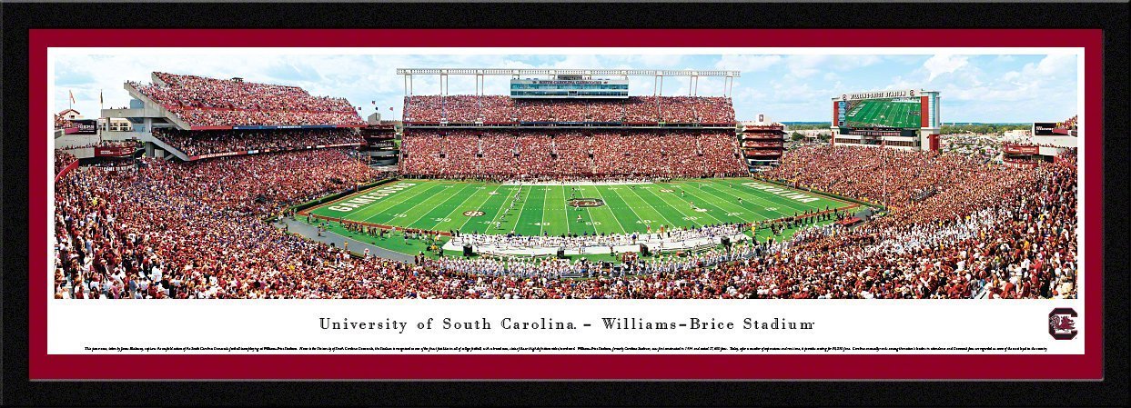 South Carolina Football - "50 Yard Line" Panorama Framed Print-Print-Blakeway Worldwide Panoramas, Inc.-Top Notch Gift Shop