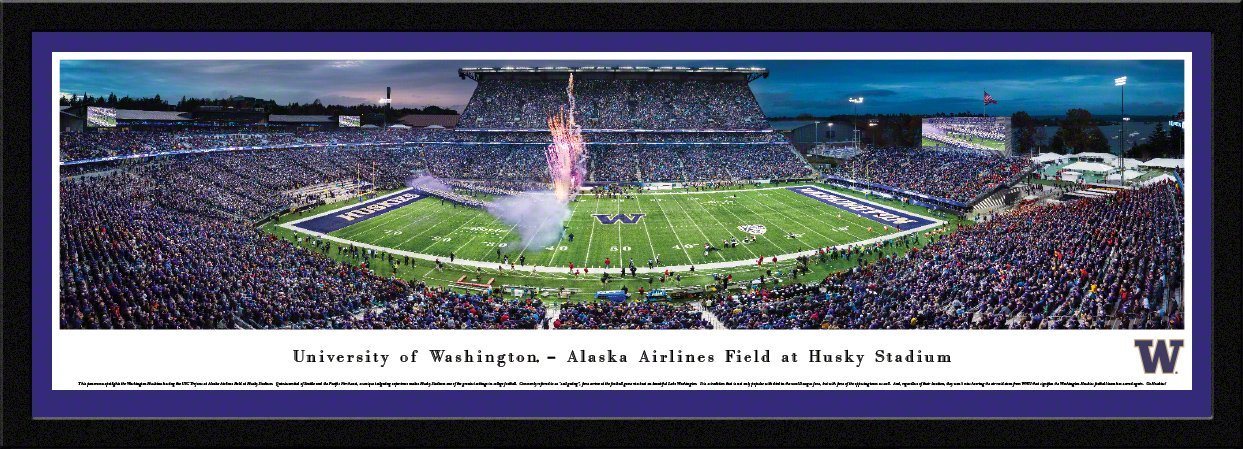 Washington Football - "50 Yard Line" Panorama Framed Print-Print-Blakeway Worldwide Panoramas, Inc.-Top Notch Gift Shop