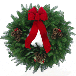 Balsam Fir 24 " Christmas Wreath-Rockdale Wreaths-Top Notch Gift Shop