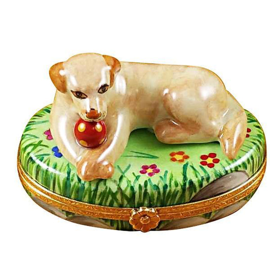 Beige Lab With Ball Limoges Box by Rochard™-Limoges Box-Rochard-Top Notch Gift Shop