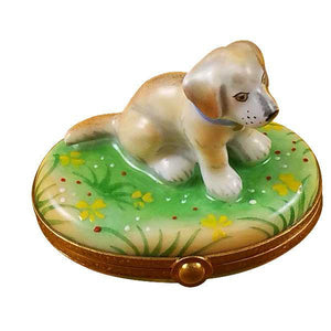 Blond Labrador Limoges Box by Rochard™-Limoges Box-Rochard-Top Notch Gift Shop