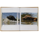 Labradors Work, Rest and Play - Leather Bound Collector's Edition-Book-Graphic Image, Inc.-Top Notch Gift Shop