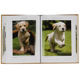 Labradors Work, Rest and Play - Leather Bound Collector's Edition-Book-Graphic Image, Inc.-Top Notch Gift Shop