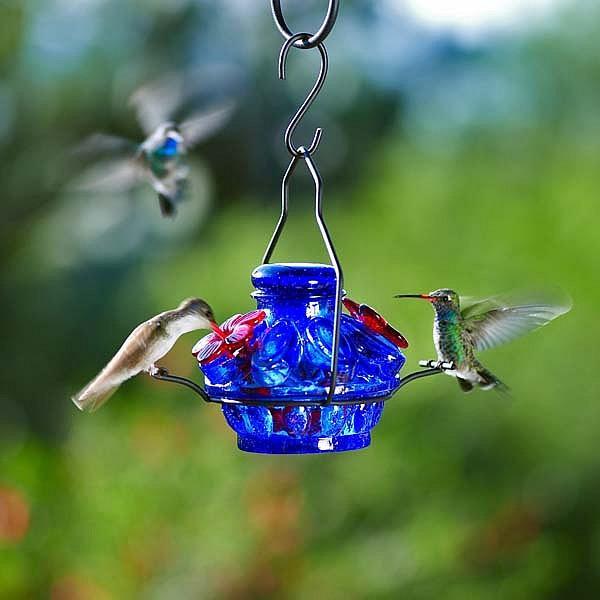 Pot de Creme Moon & Stars Hummingbird Feeder-Bird Feeder-Parasol Gardens-Top Notch Gift Shop