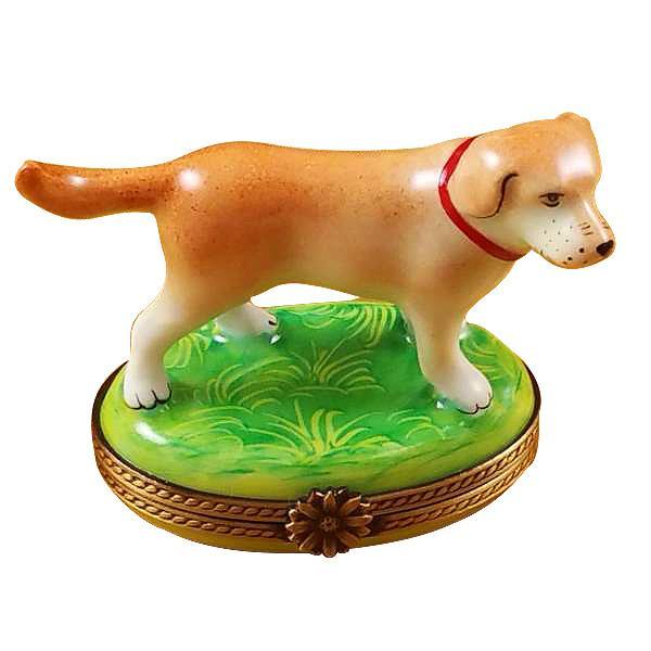 Standing Blond Labrador Limoges Box by Rochard™-Limoges Box-Rochard-Top Notch Gift Shop